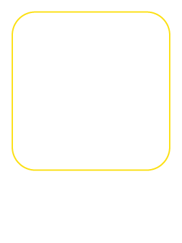 Programa Executivo